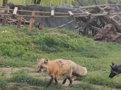 -祥源·阜阳生态乐园