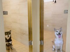 -Double Rui宠物酒店
