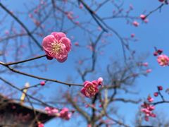 -广富林郊野公园