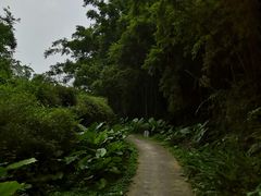 -火炉山森林公园