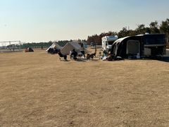 -春花秋色城市公园