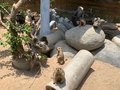 -泉州海丝野生动物世界