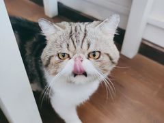 -参差咖啡(水果湖公园店)