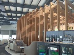 -虹桥机场国航贵宾室v8