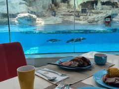 -帝企鹅自助餐厅•儿童岛•真企鹅(长隆企鹅酒店)