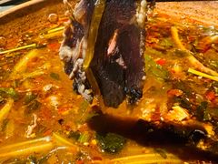 -火塘云南烧烤大排档