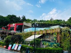 -胡桃里音乐酒馆(环亚凯瑟琳广场店)
