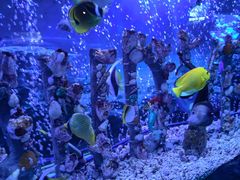 -太平洋海底世界