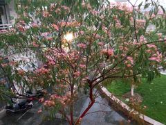 android_upload_pic-江南大学(蠡湖校区)