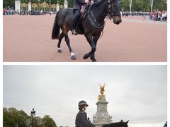 -白金汉宫