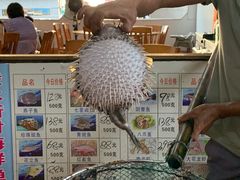 -蓝湾碧波·老字号·疍家非遗海上餐厅