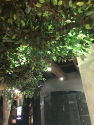 -V-STAR威斯达•高级私人定制