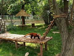 景点-西安秦岭野生动物园