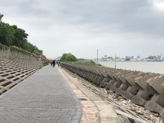 -上海滨江森林公园