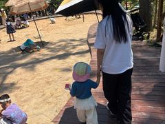 -合肥滨湖国家森林公园