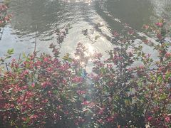 -文瀛公园