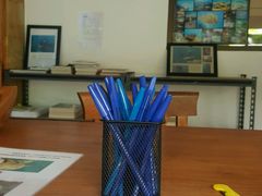 -飞鱼&摩娜潜水度假村