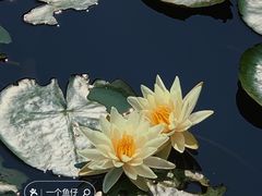 -宁波杭州湾国家湿地公园