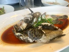 老虎斑-新天明砂锅鱼头煲