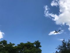 -温莎城堡