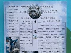 -青藏高原野生动物园