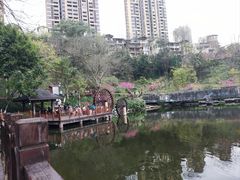 -重庆彩云湖湿地公园