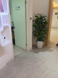 -天津伊美尔医疗整形美容专科医院