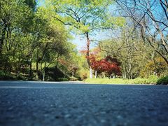 -南京老山国家森林公园