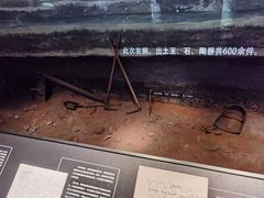 -四川大学博物馆