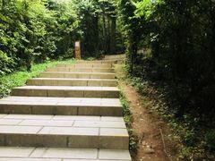 -永泰中国云顶