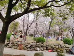 -堤角公园