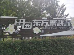 -田园东方蜜桃村的田野营地