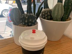 -Seeking Coffee咖啡(新竹路店)