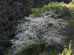 -温州永嘉书院