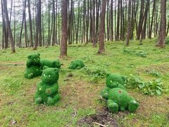 -硗碛藏寨·神木垒景区