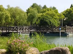 -长广溪湿地公园