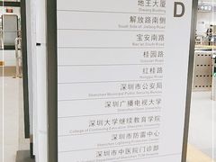 -大剧院(地铁站)