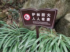 -福清灵石山国家森林公园
