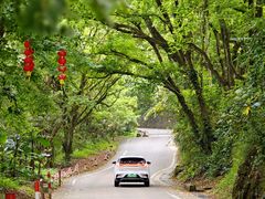 -广州市石门国家森林公园