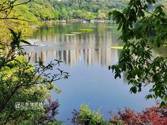 -重庆彩云湖湿地公园