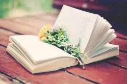 -UP&UP·半永久眉毛眼线机器野生眉