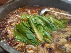 -都江堰石锅鱼