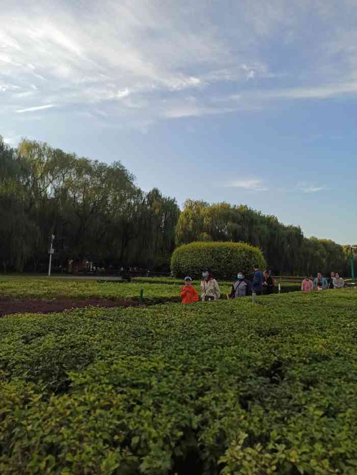 假期溜娃好去處:保定農業生態園