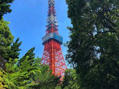 -东京塔海贼王主题公园