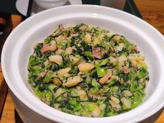 -老阿妈蒙古村·蒙古包·草原文化·歌舞表演(老君堂店)
