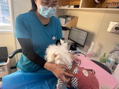 -美联众合动物医院·24h京西诊疗中心