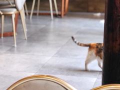 -后海16号·北京私房菜