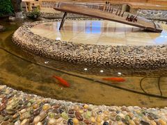 -恒坤北纬42度温泉洗浴(公园路店)