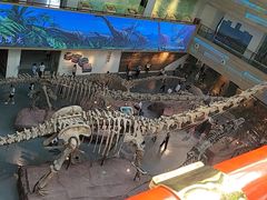 -安徽省地质博物馆