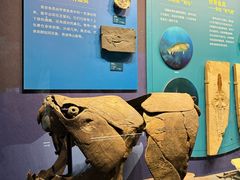 -国家自然博物馆